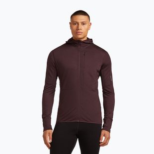 Men's trekking sweatshirt icebreaker Merino 200 RealFleece Descender Zip Hoodie java