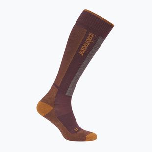 Men's ski socks Icebreaker Merino Ski+ java/trail/seaglass