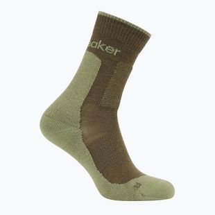 Men's socks icebreaker Merino Hike+ Medium Crew loden/lichen