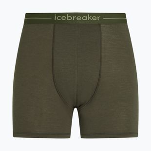 Men's thermal boxer briefs icebreaker Anatomica dark loden