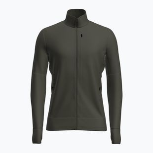Men's trekking sweatshirt Icebreaker Merino 260 Quantum IV LS Zip dark loden