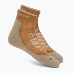 Men's socks Icebreaker Merino Hike+ Light Mini trail/flagstone