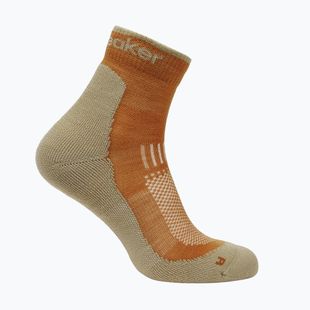Men's socks Icebreaker Merino Hike+ Light Mini trail/flagstone