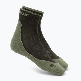 Men's socks Icebreaker Merino Hike+ Light Mini dark loden/lichen