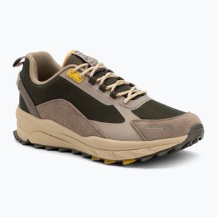 Men's shoes Napapijri Vortec NP0A4G7A green/brown