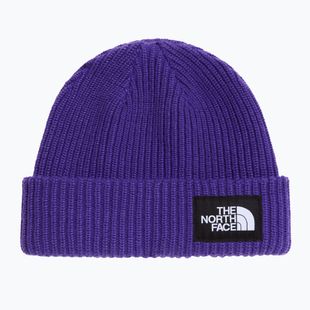 Winter hat The North Face Salty Lined peak purple