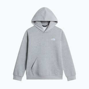 Children's sweatshirt The North Face Evolution Simple Dome Pullover Hood tnf pale grey heather