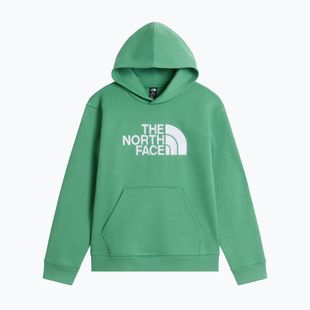 Children's sweatshirt The Noryh Face Essential Drew Peak Hoodie dimmed algae