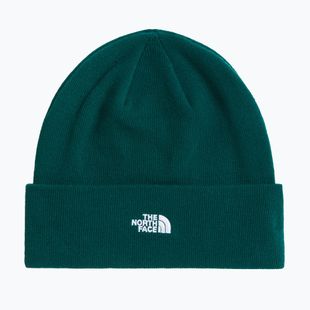 Winter hat The North Face Norm Beanie hunter green