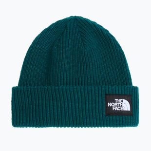 Winter hat The North Face Salty Lined pacific teal