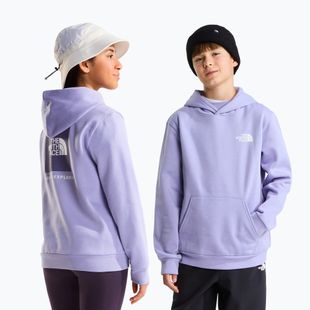 Children's sweatshirt The North Face Evolution Box NSE Pullover Hoodies pale plum