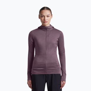 Women's trekking sweatshirt Icebreaker Merino 200 Realfleece Descender Half Zip Hoodie grey plum