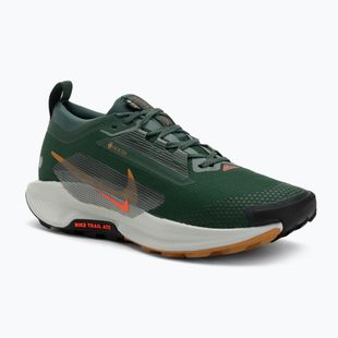 Men's running shoes Nike Pegasus Trail 5 GORE-TEX fir/bright crimson/clay green