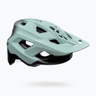 Bike helmet Fox Racing Speedframe Pro Backfade frost