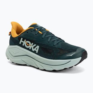 Men's running shoes HOKA Challenger 8 bay leaf/sage