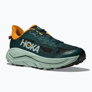 Men's running shoes HOKA Challenger 8 bay leaf/sage