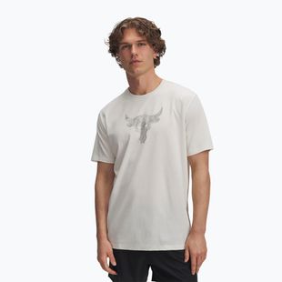 Men's training T-shirt Under Armour Project Rock Payoff Graphic stone/black