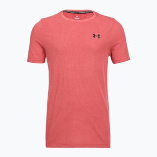 Men's training T-shirt Under Armour Vanish Seamless Novelty bittersweet pink/black