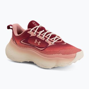 Women's training shoes Under Armour Pulse claret/posh pink/posh pink
