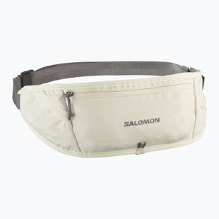 Running belt Salomon Pulse Sling icicle / castlerock