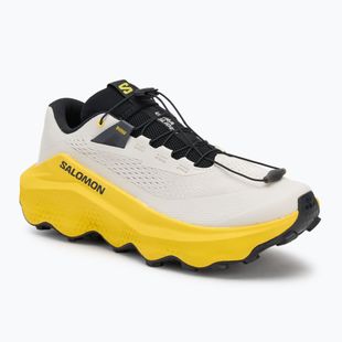 Men's running shoes Salomon Ultra Glide 3 almond milk/incaberry/black