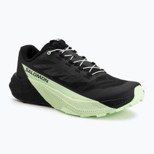 Men's running shoes Salomon Pulsar black/black/patina green
