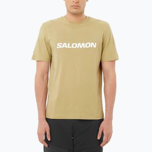 Men's T-shirt Salomon Logo gray green