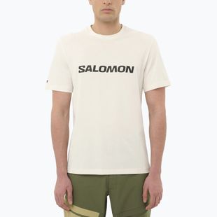 Men's T-shirt Salomon Logo whisper white