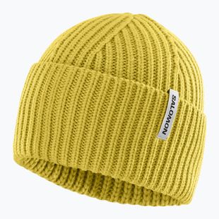 Winter hat Salomon Snowbird whisper cress green