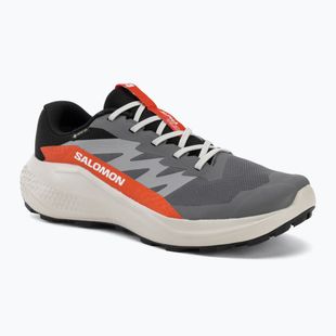 Men's running shoes Salomon Alphaglide GTX castlerock/lunar rock