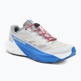 Men's running shoes Salomon Pulsar lunar rock/white/french blue