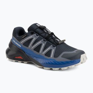 Men's running shoes Salomon Speedcross Peak GTX blue nights/grisaille