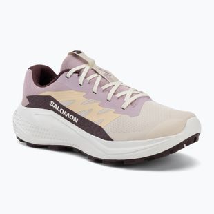 Women's running shoes Salomon Alphaglide tapioca/dawn pink