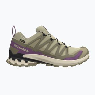 Women's running shoes Salomon XA Pro 3D V9 GTX bog/aloe