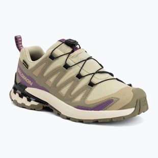 Women's running shoes Salomon XA Pro 3D V9 GTX bog/aloe