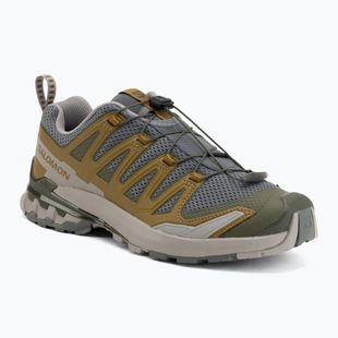 Men's running shoes Salomon XA Pro 3D V9 sedona sage/plantation/paloma