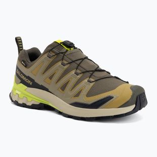 Men's running shoes Salomon XA Pro 3D V9 GTX grape leaf/aloe