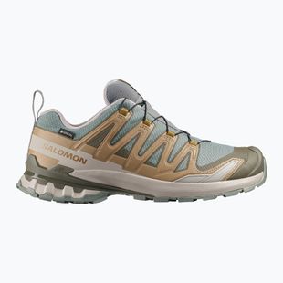 Men's running shoes Salomon XA Pro 3D V9 GTX sedona sage/brilliant olive