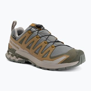 Men's running shoes Salomon XA Pro 3D V9 GTX sedona sage/brilliant olive