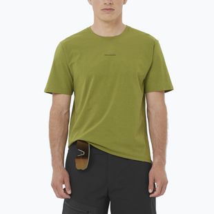 Men's T-shirt Salomon Trackline cardamon seed
