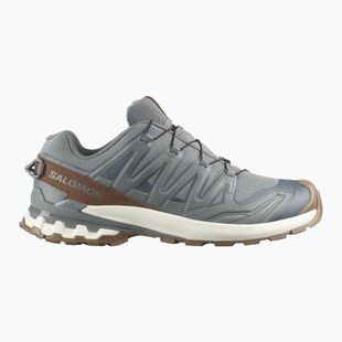 Men's running shoes Salomon XA Pro 3D V9 GTX Lifelong sedona sage/coyote brown