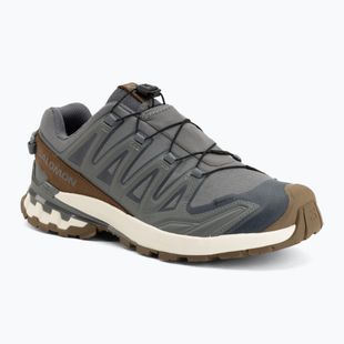 Men's running shoes Salomon XA Pro 3D V9 GTX Lifelong sedona sage/coyote brown