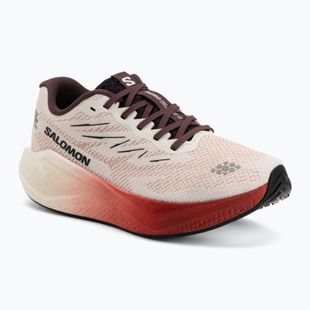 Women's running shoes Salomon Aero Blaze 4 vanilla ice/huckleberry