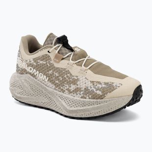 Women's running shoes Salomon Aero Glide 4 GRVL tapioca/desert tan