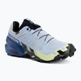 Men's running shoes Salomon Speedcross 6 GTX Icon brunnera blue/surf the web
