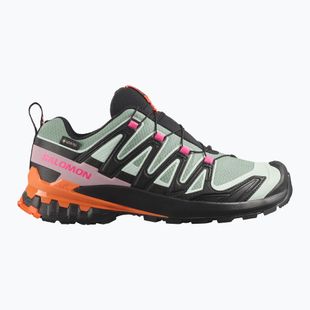 Women's running shoes Salomon XA Pro 3D V9 GTX Icon black/green milieu
