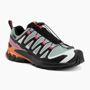 Women's running shoes Salomon XA Pro 3D V9 GTX Icon black/green milieu