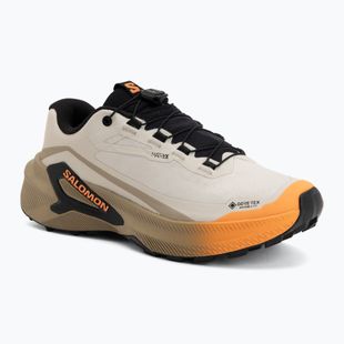 Women's running shoes Salomon Genesis 2 GTX rainy day/desert tan