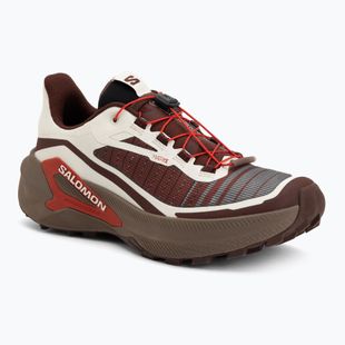 Men's running shoes Salomon Genesis 2 vanilla ice/iron
