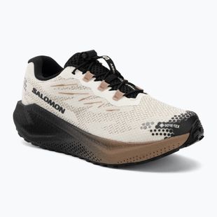 Men's running shoes Salomon Aero Blaze 4 GRVL GTX vanilla ice/black